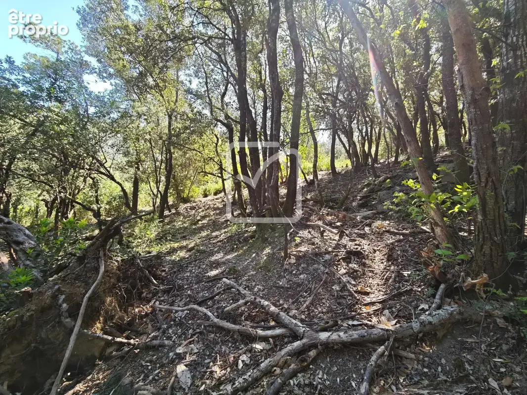 Beau et grand terrain constructible environnement nature! - photo 8