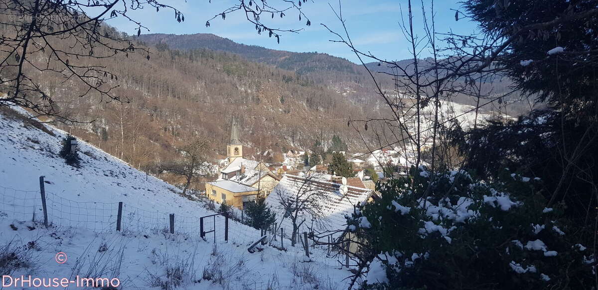 Maison à LAUTENBACHZELL