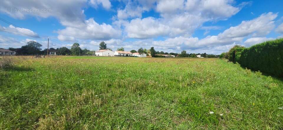 Terrain à SAINT-GAUZENS