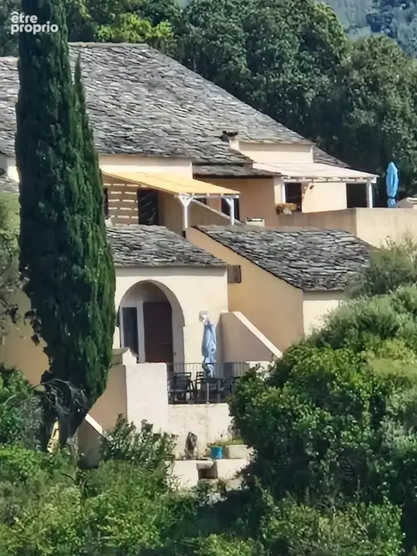 PATRIMONIO / Maison d'hôte  avec piscine - photo 3