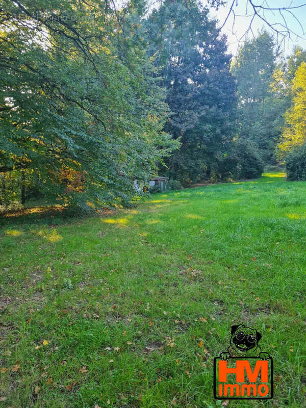 Maison 35 m² à Eyjeaux  - photo 6