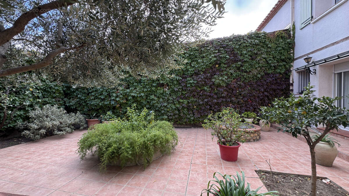 Maison à RIVESALTES
