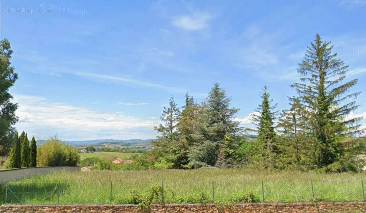 Terrain à bâtir de 2230 m2 à MARCY 69480 - photo 3
