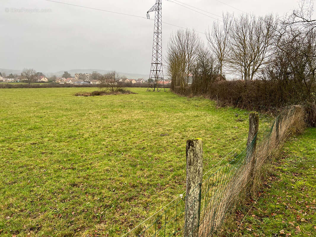 Terrain à TOULON-SUR-ARROUX