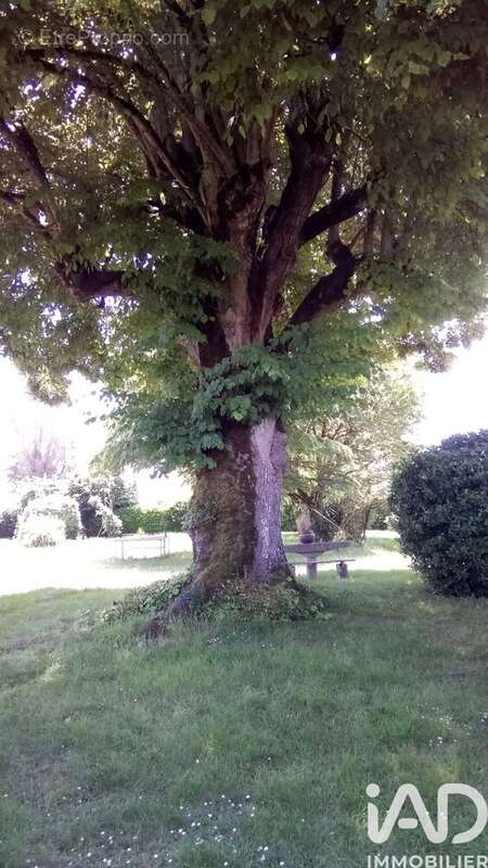 Photo 8 - Maison à SAINT-QUENTIN-DE-BARON
