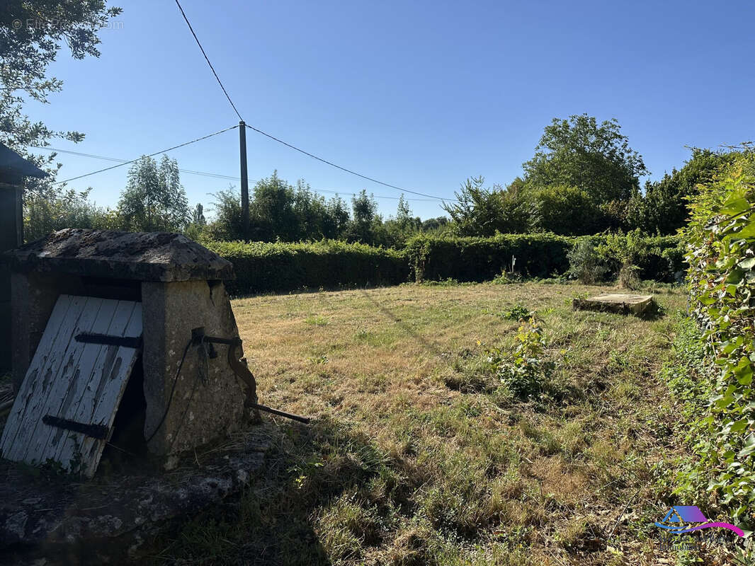 Terrain avec puits - Maison à MONTGIVRAY