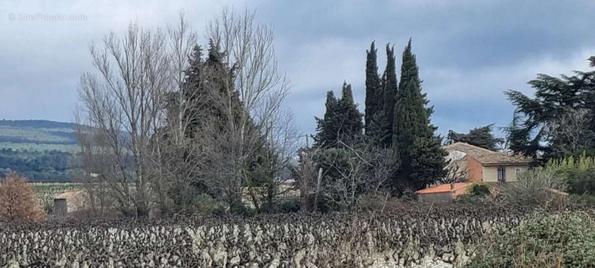 Caunes Minervois: Ensemble immobilier : 2 maisons avec grange et piscine dans le Minervois - photo 16