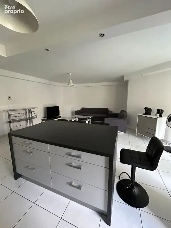 Appartement Tassin La Demi Lune 3 pièce(s) 70 m2 - photo 3