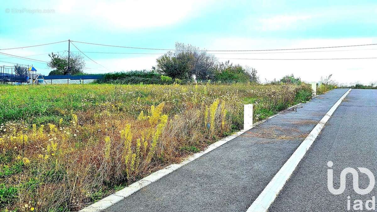 Photo 4 - Terrain à CAMBON