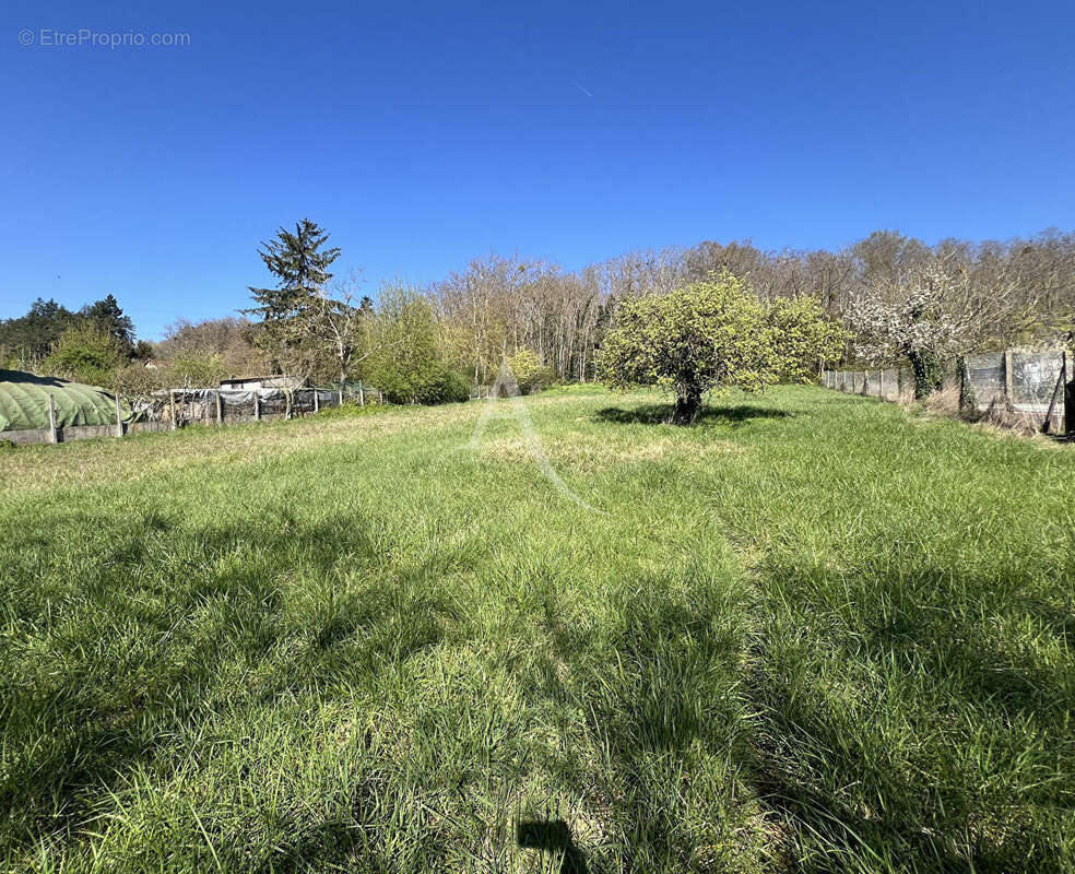 Terrain à CHISSAY-EN-TOURAINE
