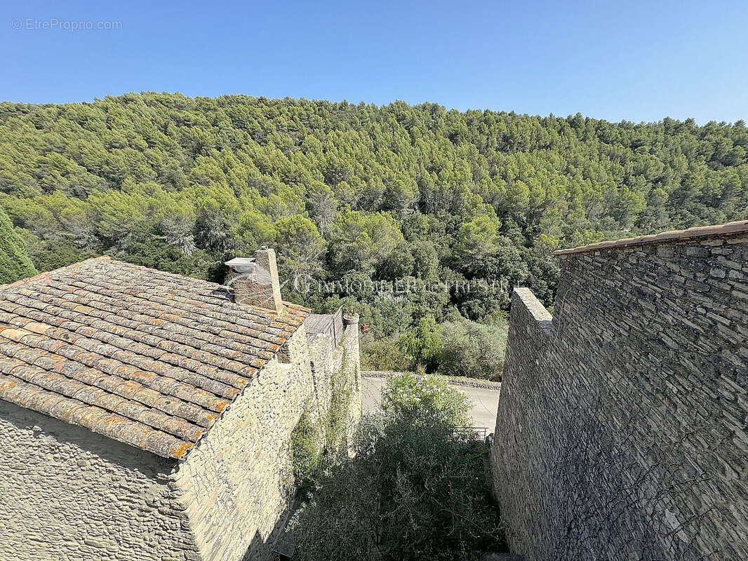 En exclusivité, à Saumane de Vaucluse, une maison d'artiste - photo 2