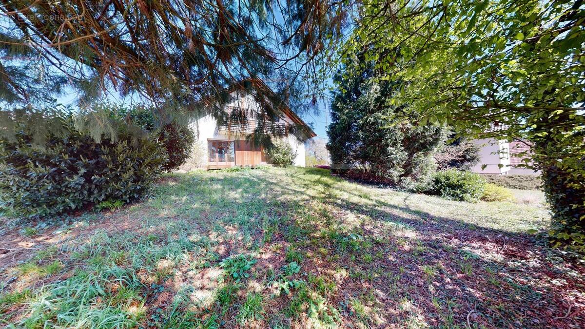 Maison à BETSCHDORF