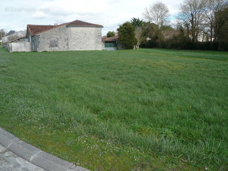 Terrain à ARS