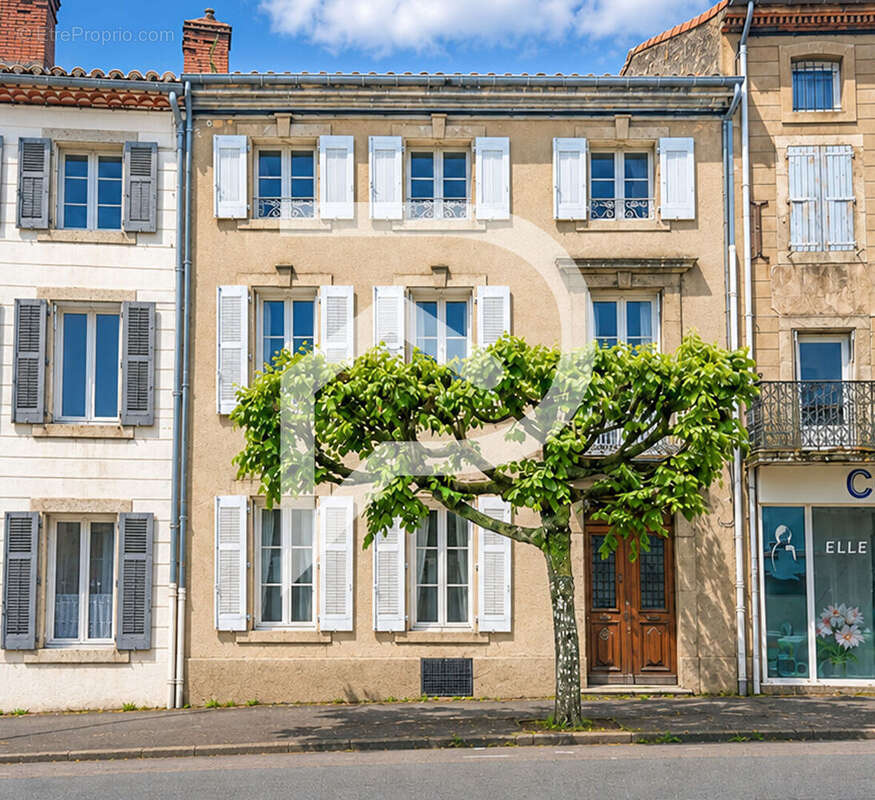 Véritable Maison Coup de Coeur 250 m² et son Jardin Secret Mazamet - photo 15