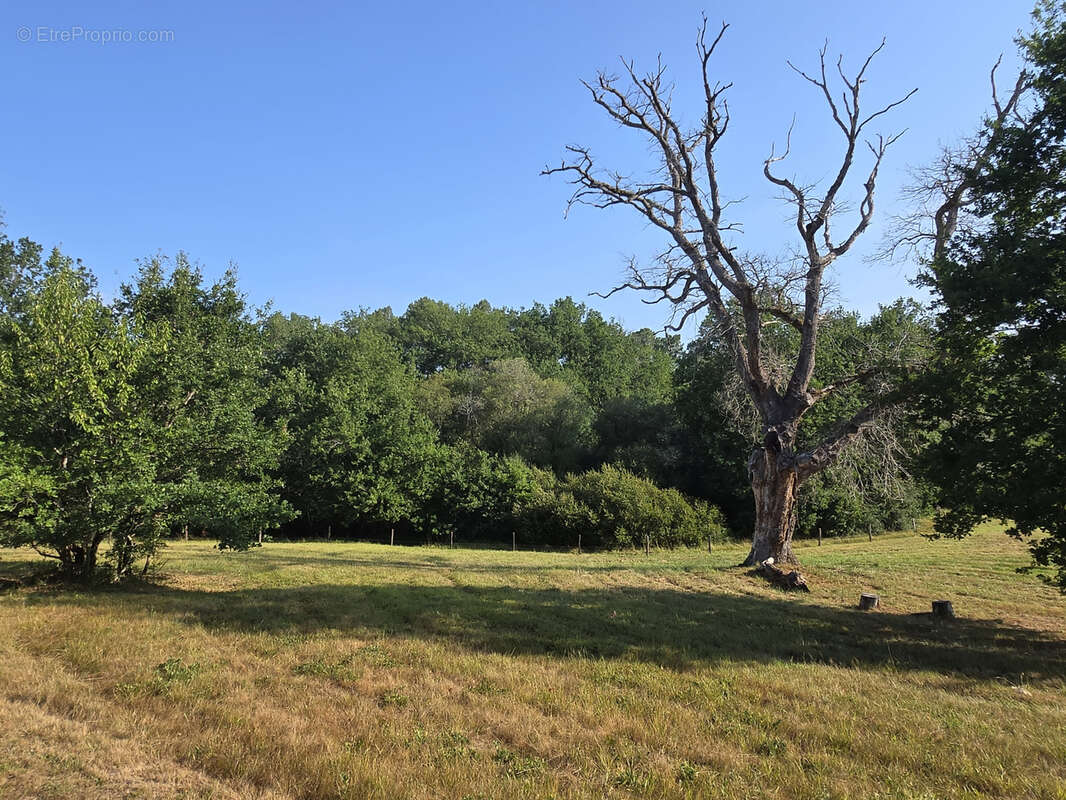 Ensemble de 3 habitations sur un parc de 2ha76 avec étang! - photo 48