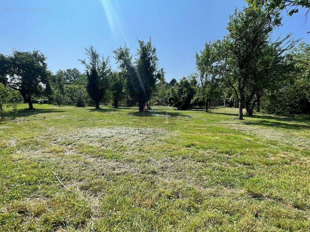 Terrain à SAINT-PIERRE
