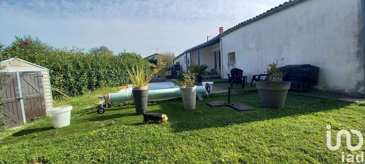 Photo 5 - Maison à SAINT-BONNET-SUR-GIRONDE