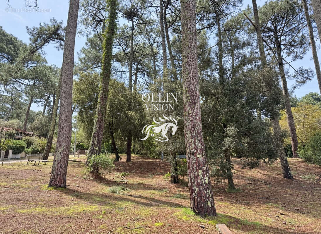 Maison à LE BOUSCAT