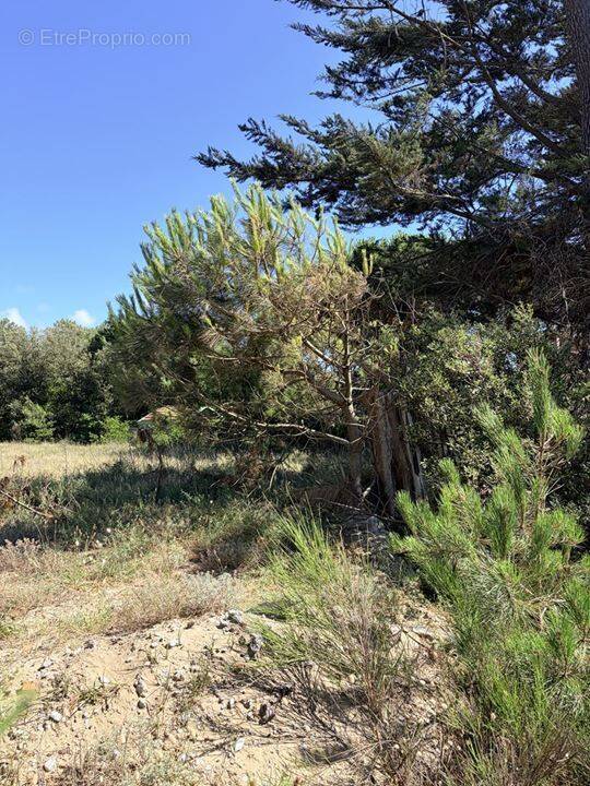 Terrain à SOULAC-SUR-MER