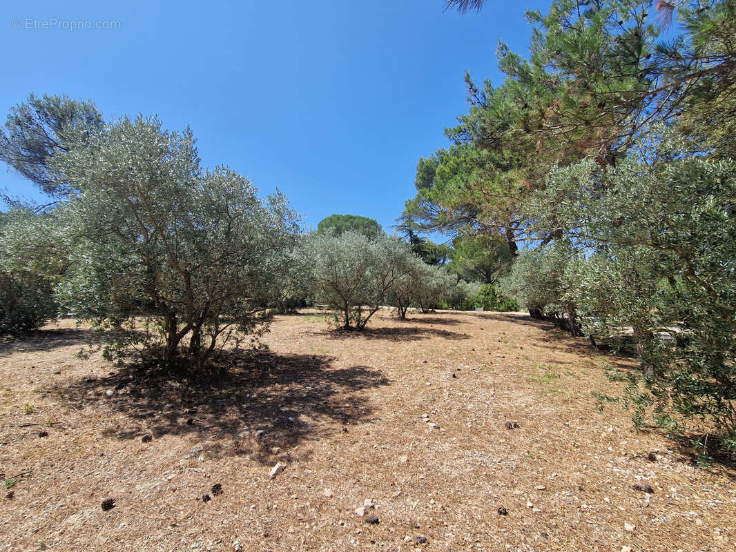 Terrain à CAVAILLON