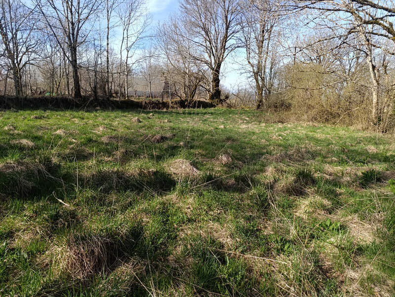 Maison à SAINT-VINCENT-DE-SALERS