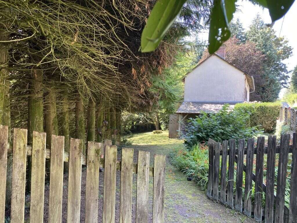 Maison 40 m² à Saint-Gilles-Les-Forets  - photo 2