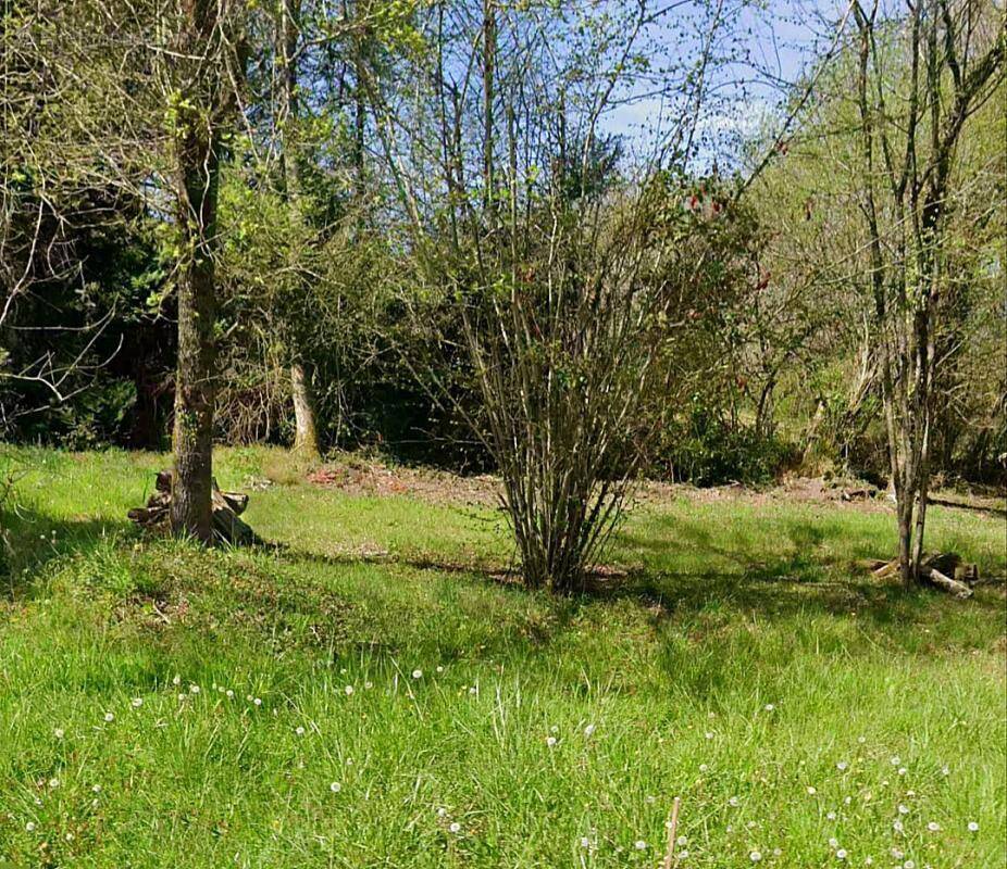 Terrain à LES FARGES