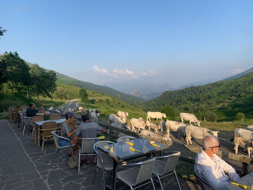 Auberge dans les pyrenees. - photo 4