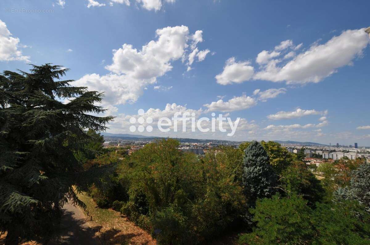 Appartement - photo 4