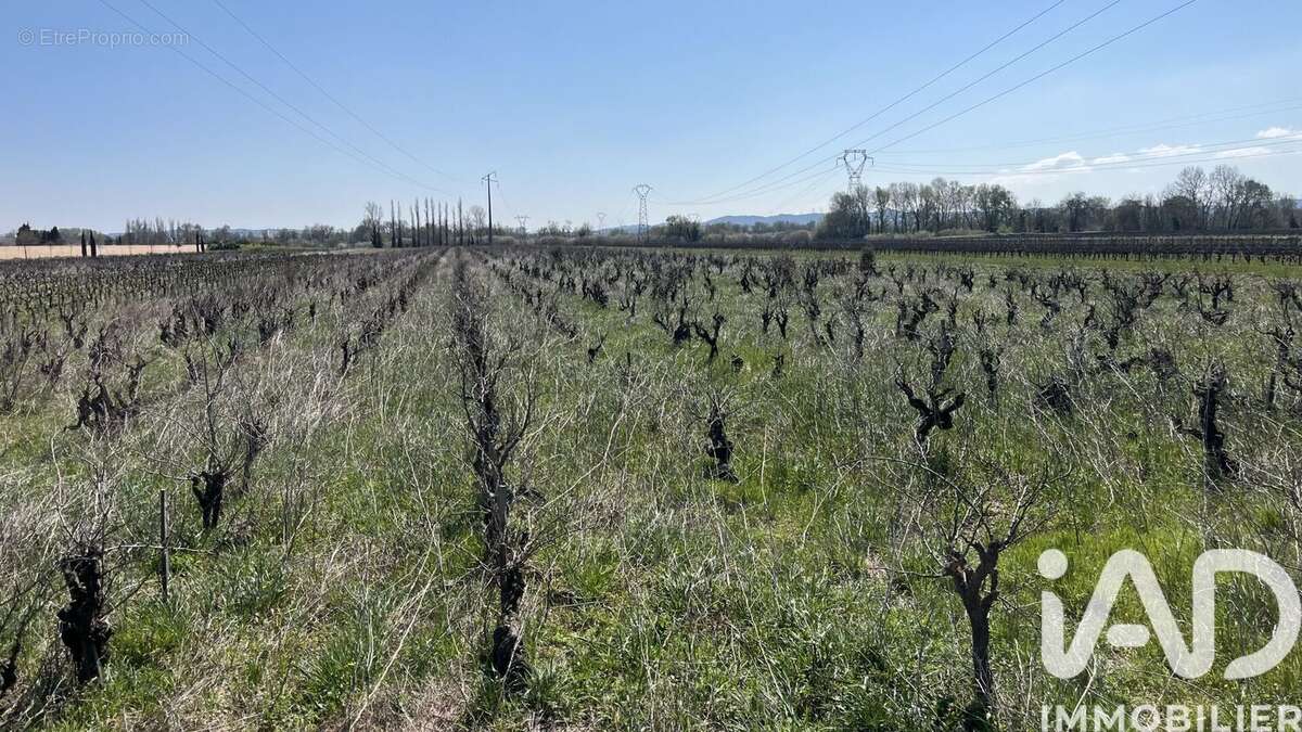 Photo 2 - Terrain à CODOLET