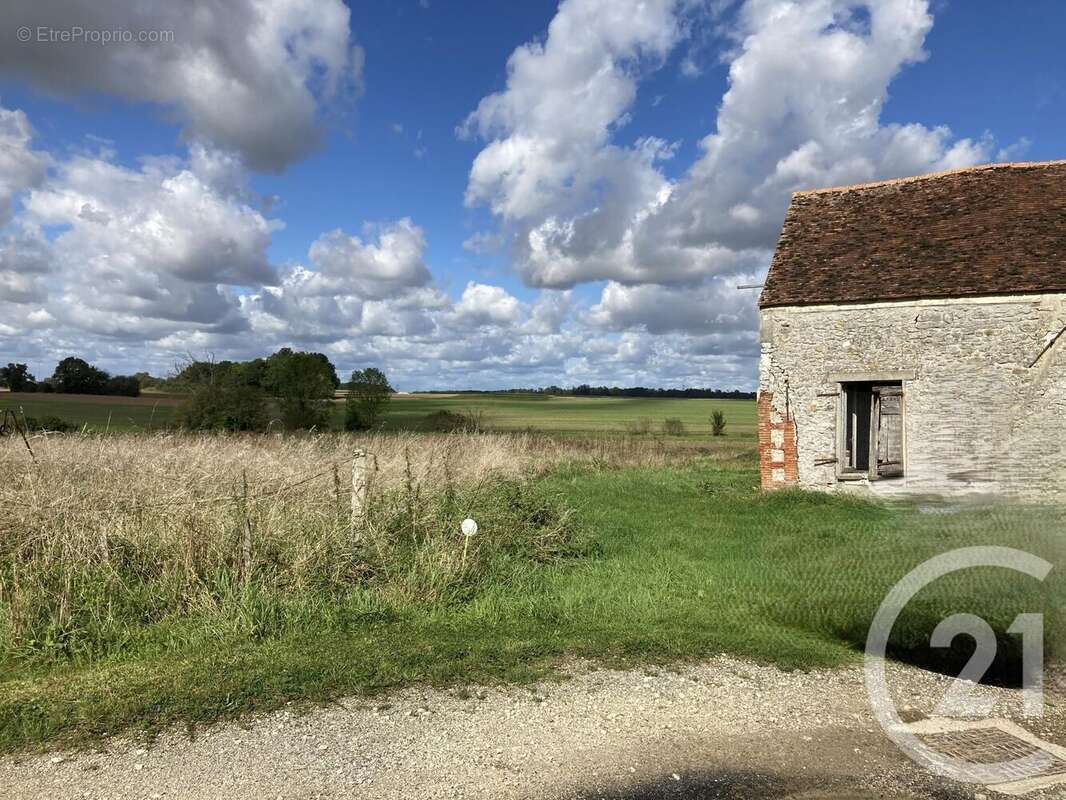 Terrain à VIEUX-CHAMPAGNE