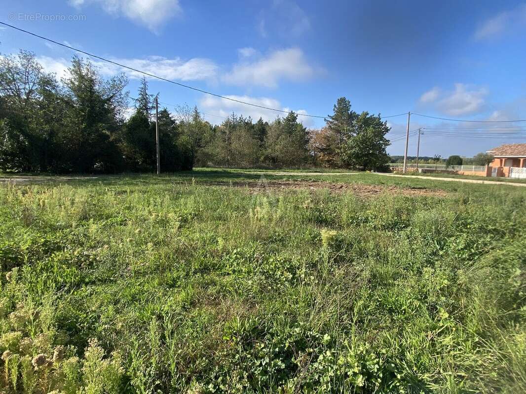 Terrain à VILLEMUR-SUR-TARN