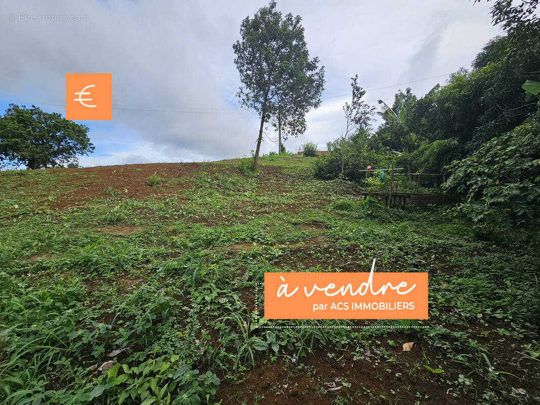 Terrain à SAINTE-MARIE