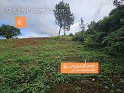 Terrain à SAINTE-MARIE