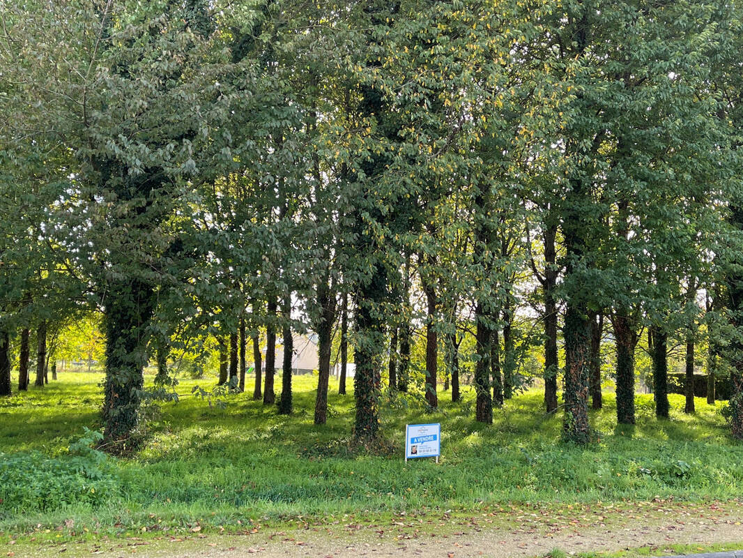 Terrain à VERNOIL