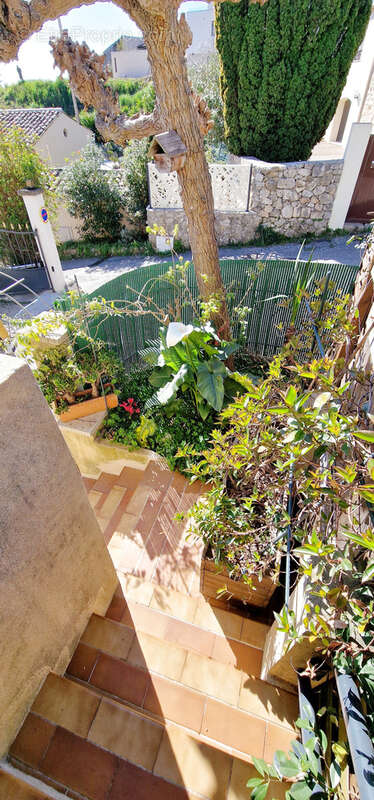Maison provençale 3 Pièces - photo 5