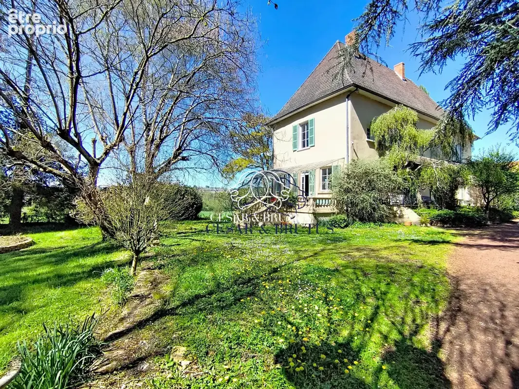Maison 9 pièces 254 m² à vendre à Chandon (42190) - photo 5