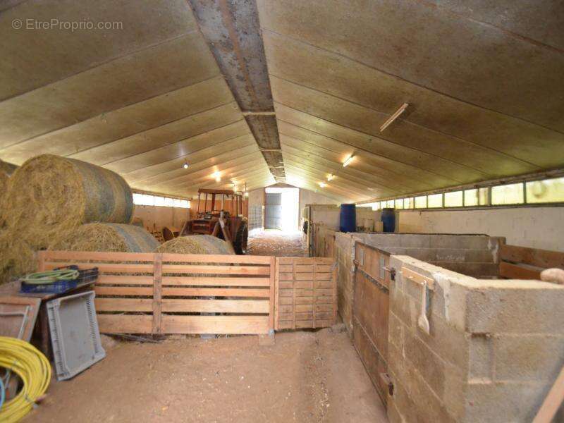 Maison à SAINT-GERMAIN-DU-SALEMBRE