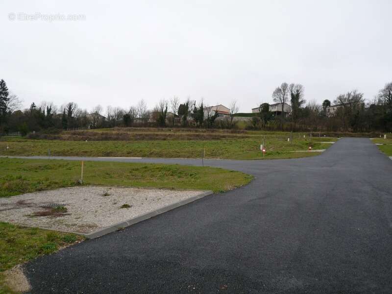 Terrain à SAINT-LAURENT-DE-COGNAC
