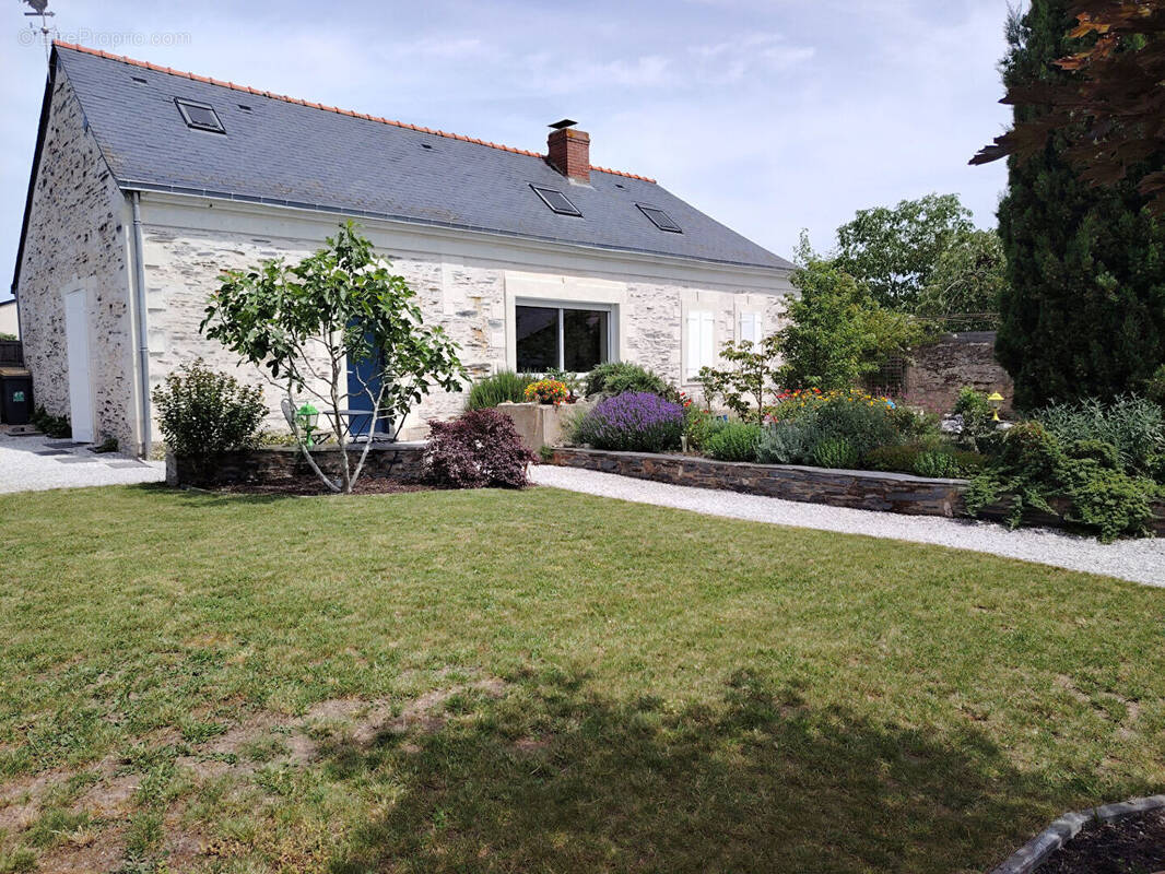 Maison à BRAIN-SUR-L'AUTHION