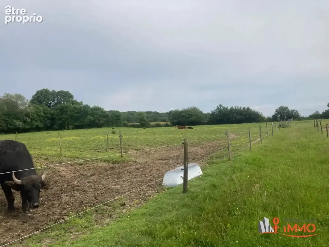 Propriété équestre avec chambres d'hôtes sur 4,3 hectares av - photo 9
