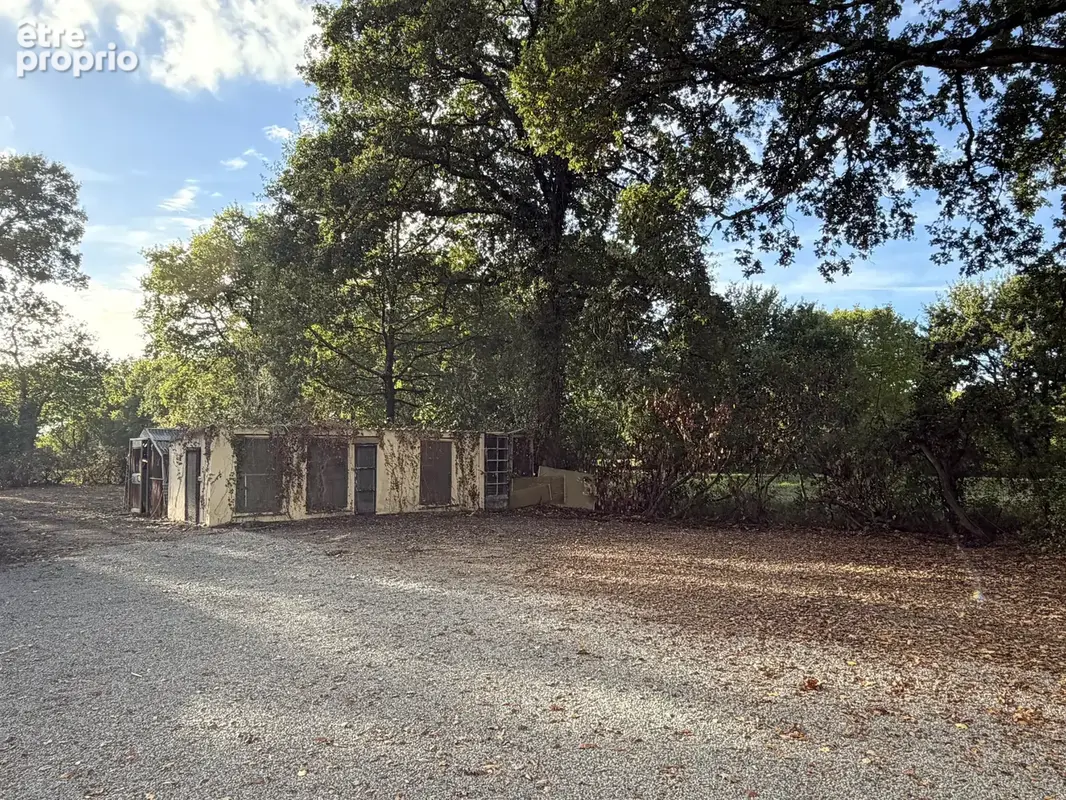Le Cellier - Maison ancienne indépendante sur 3700 m2 - photo 4