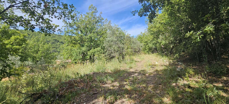 Terrain à construire de 2 800 m² – Vue dégagée, calme, plein sud - photo 5