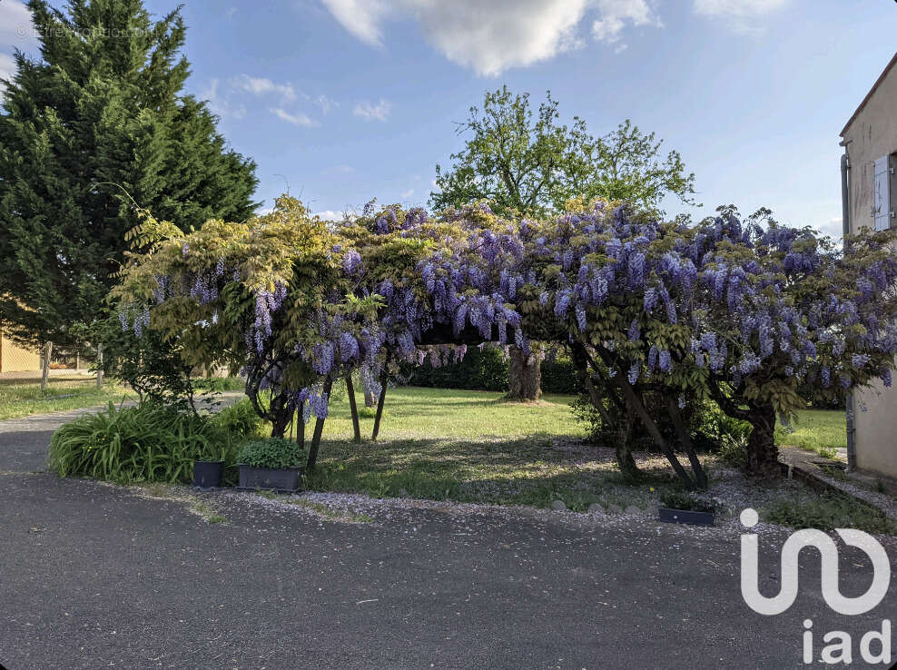 Photo 3 - Maison à MONTGUYON