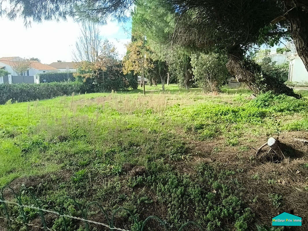 Terrain à LA BARRE-DE-MONTS