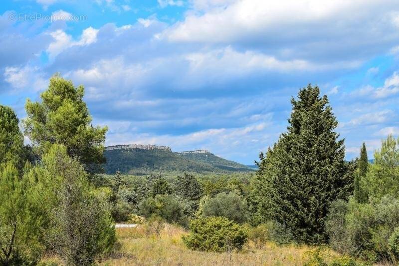 Terrain à VALFLAUNES