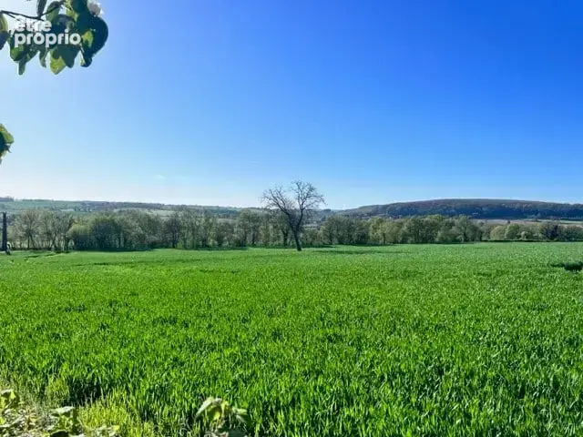 Terrain 850 m² à vendre à Montigny-Aux-Amognes (58130) - photo 3