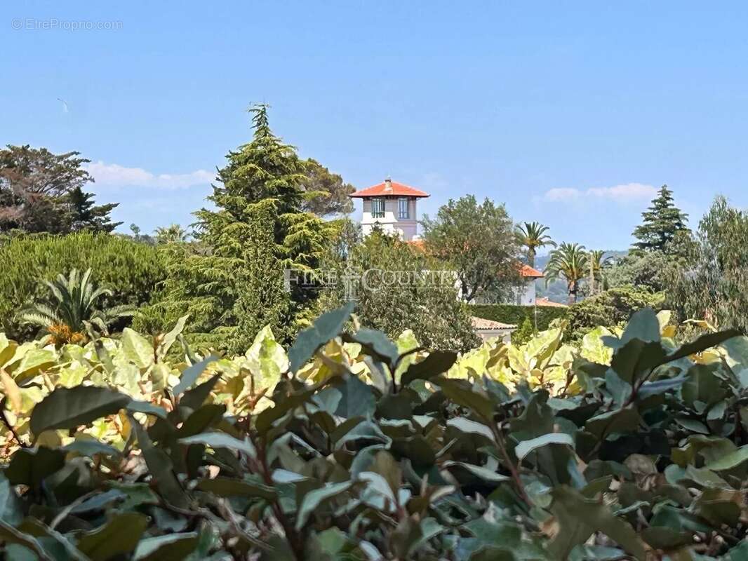 Maison à MANDELIEU-LA-NAPOULE