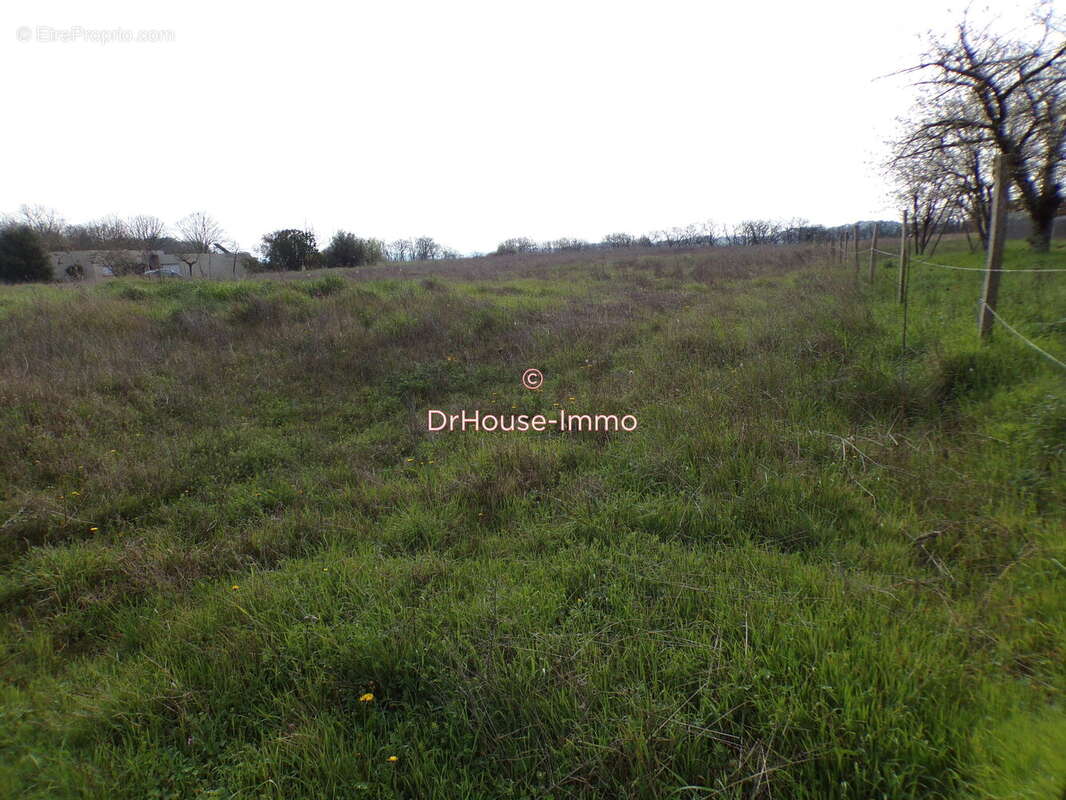 Terrain 918 m² à Graulhet  - photo 5