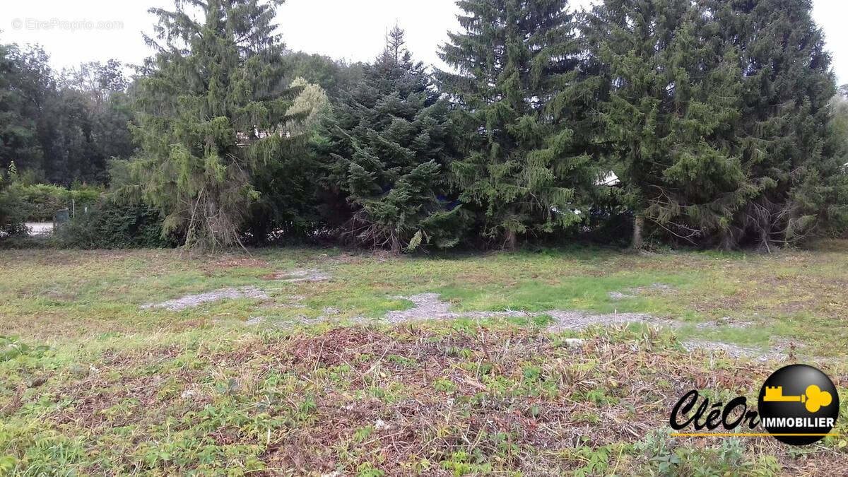 Terrain 2200 m² à Pouilly-Sur-Saone  - photo 2